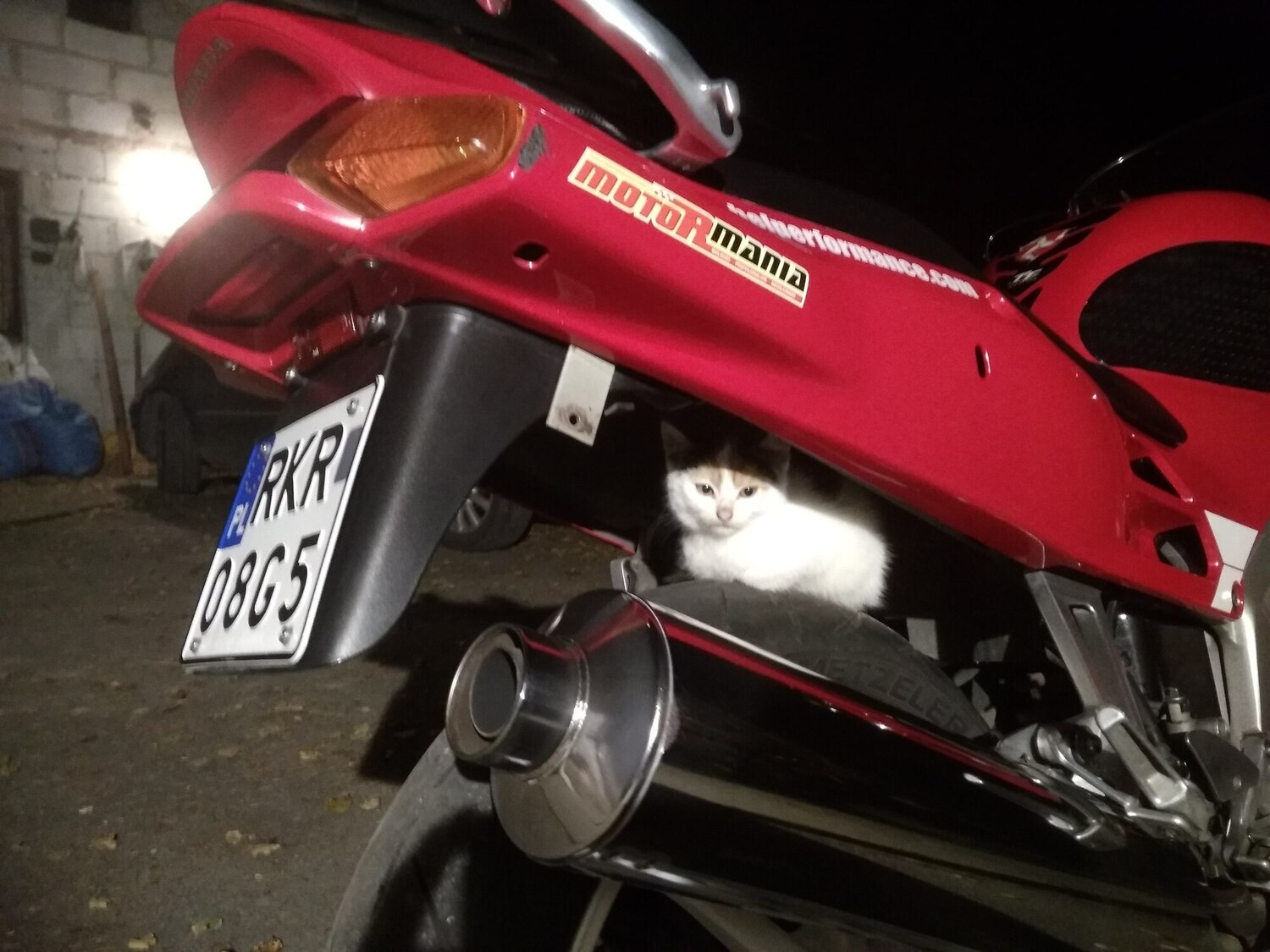 1997 HONDA VFR 750 | Picture 2820809 motorcycle photo