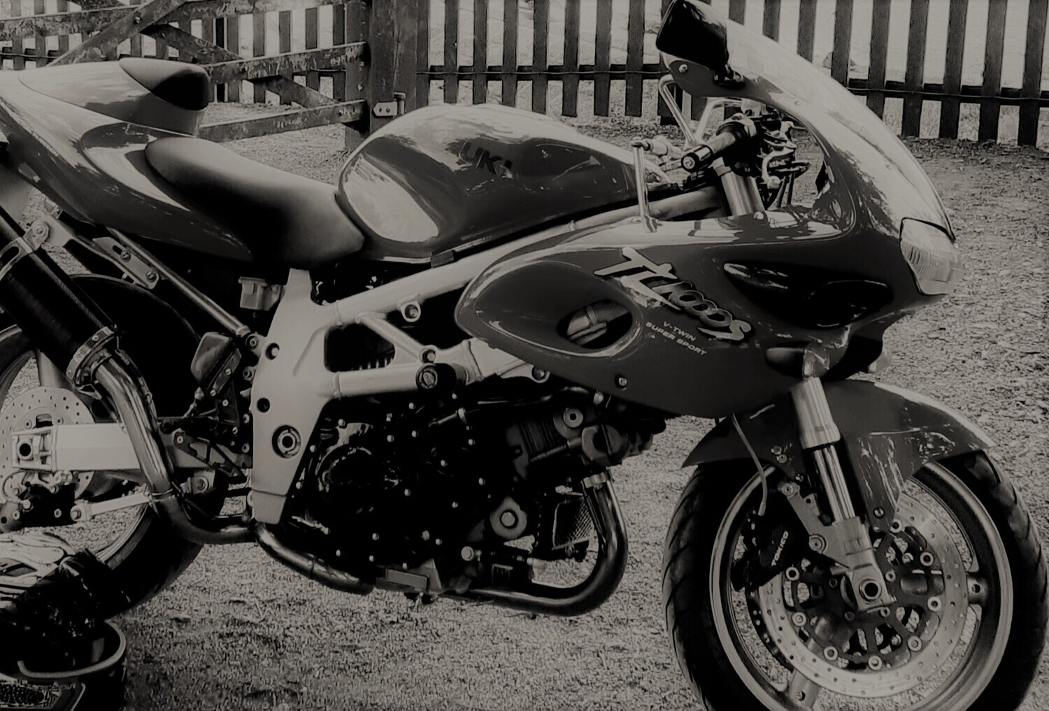 1997 SUZUKI TL1000S | Picture 2821431 motorcycle photo