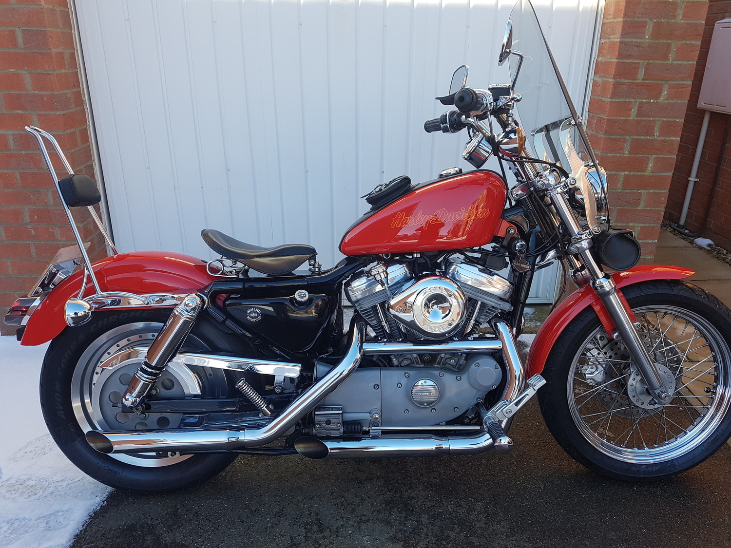 1998 HARLEY DAVIDSON XL 883 CUSTOM | Picture 2821525 motorcycle photo