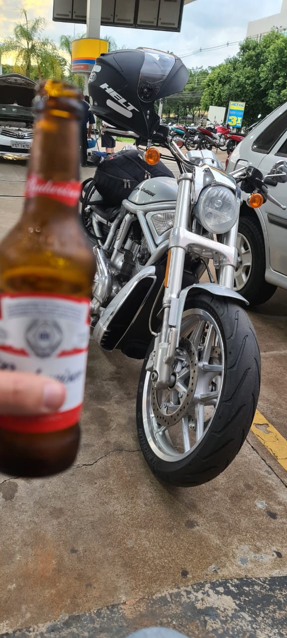  HARLEY DAVIDSON VRSCDX 10TH ANNIVERSARY | Picture 2821803 motorcycle photo