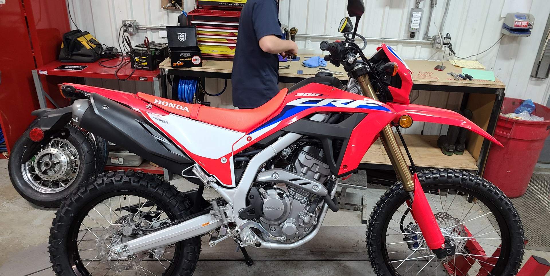  HONDA CRF 300L | Picture 2823900 motorcycle photo