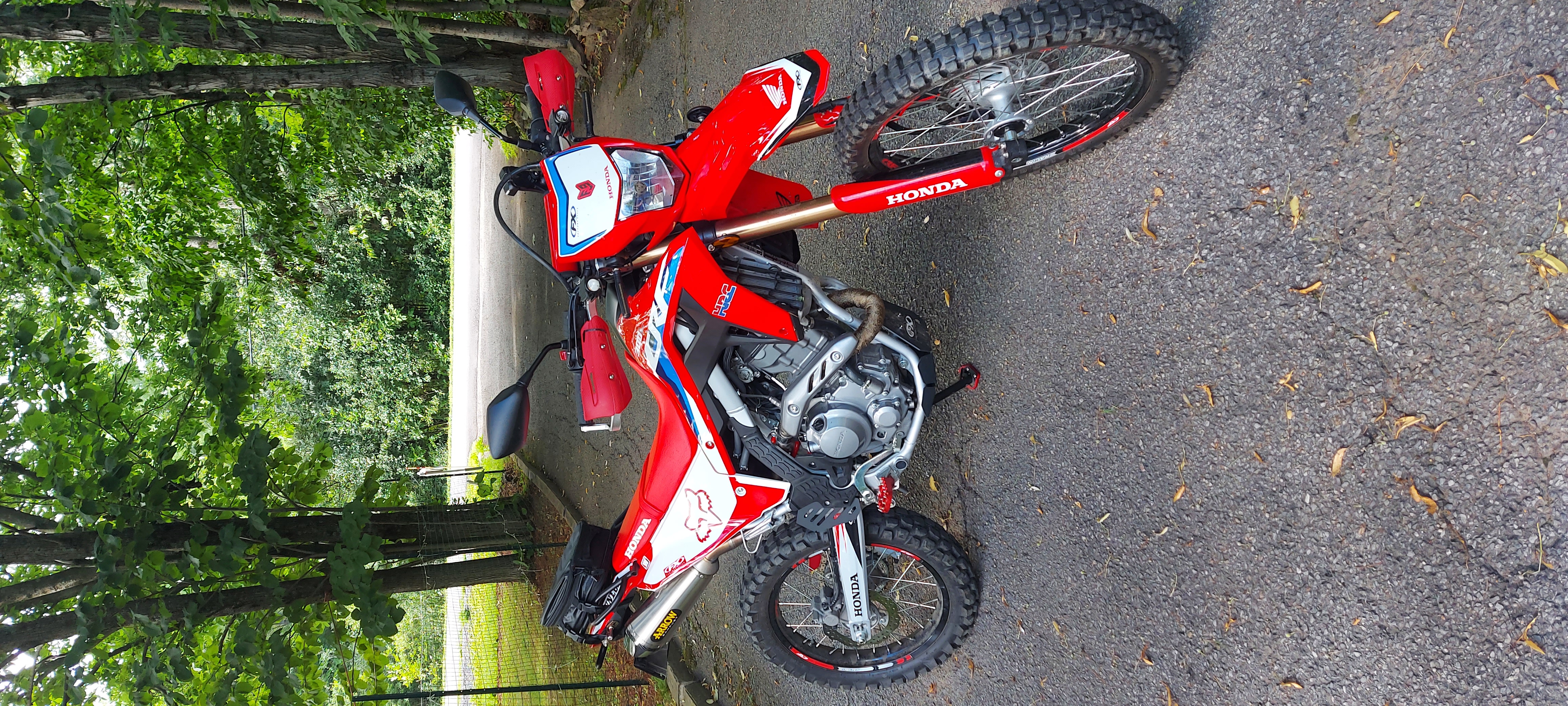  HONDA CRF 300L | Picture 2823902 motorcycle photo