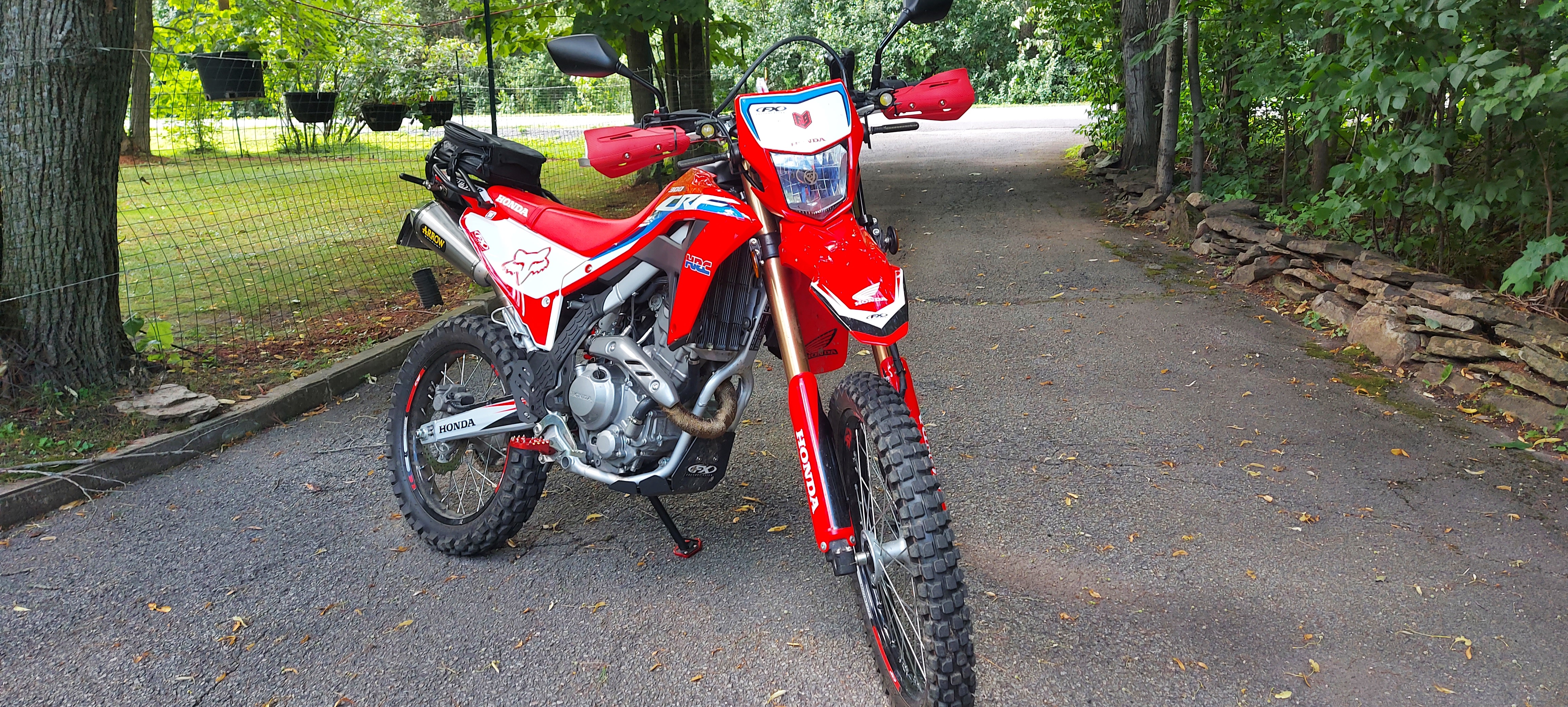  HONDA CRF 300L | Picture 2823919 motorcycle photo