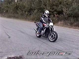 1993 HONDA CBR 600 | Picture 282399 motorcycle photo