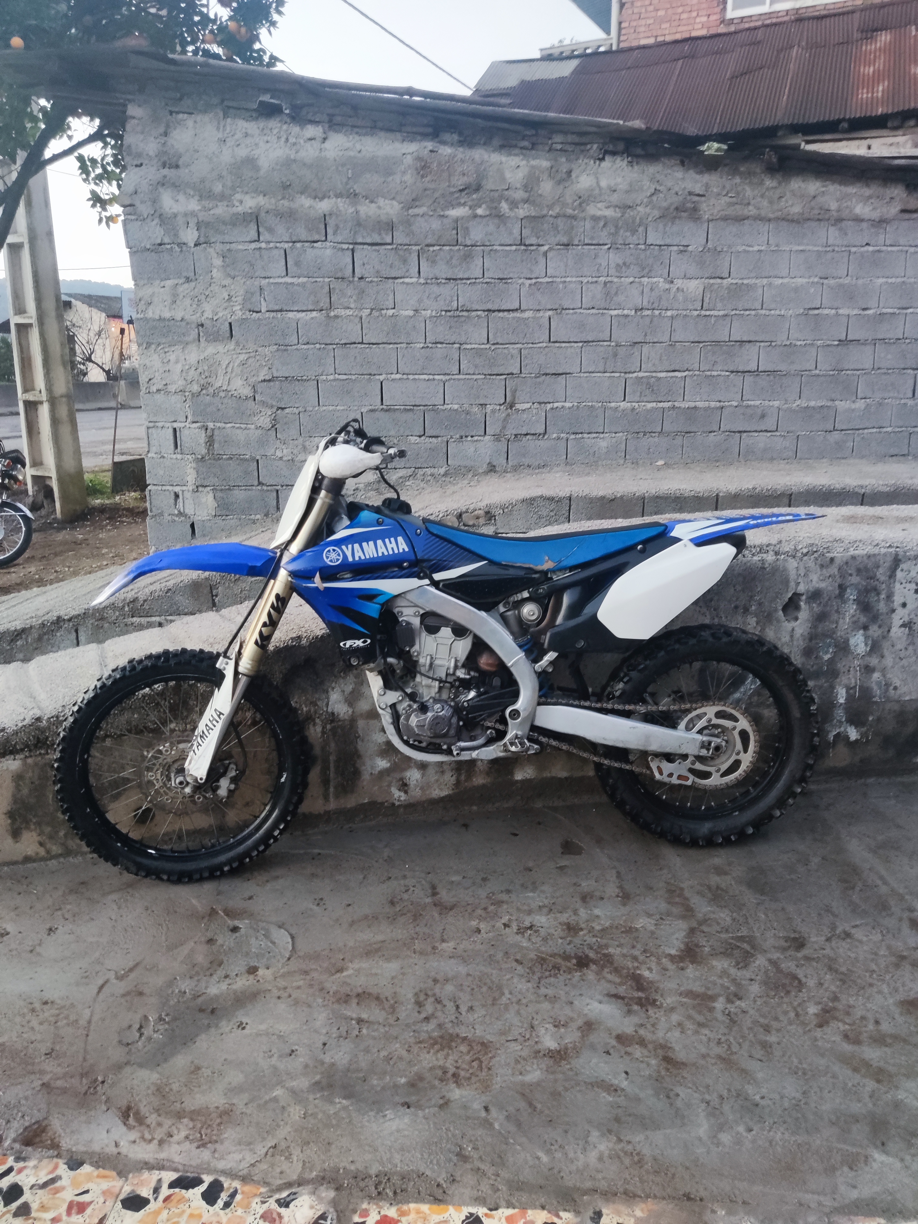 YAMAHA YZ 450F | Picture 2824586 motorcycle photo