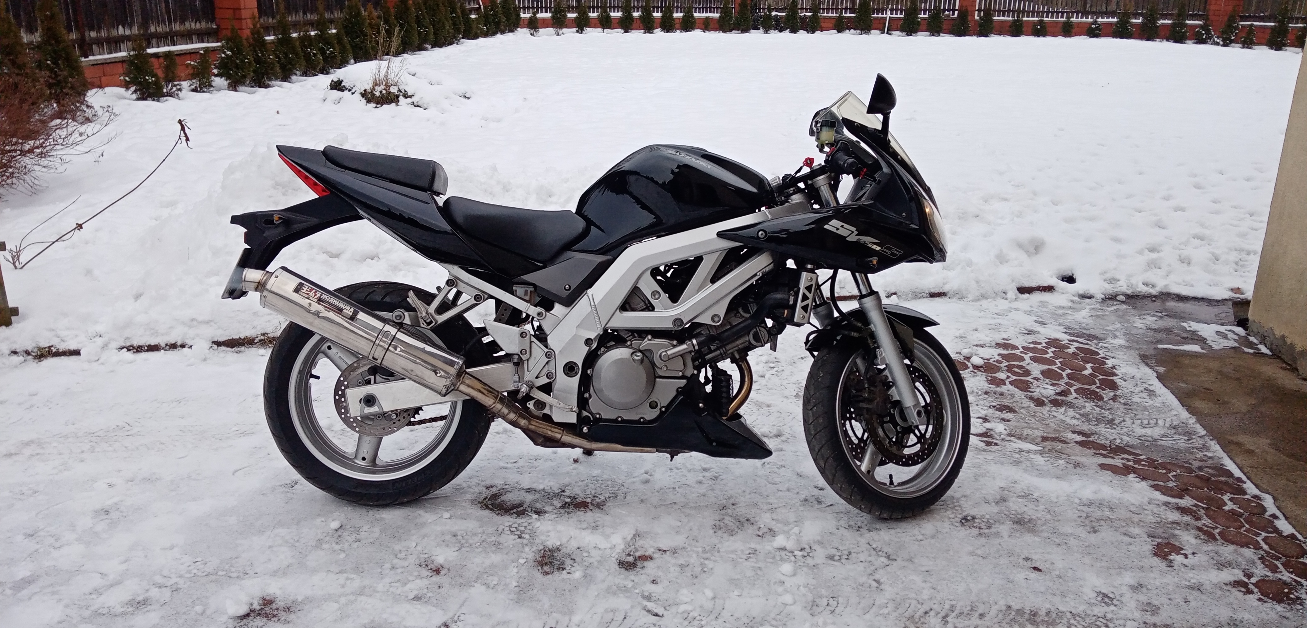  SUZUKI SV650S | Picture 2824662 motorcycle photo