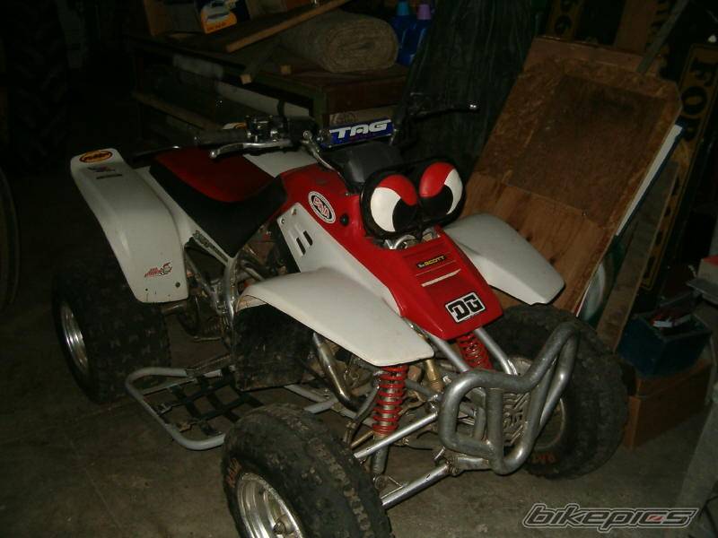 2000 YAMAHA WARRIOR | Picture 282471 motorcycle photo