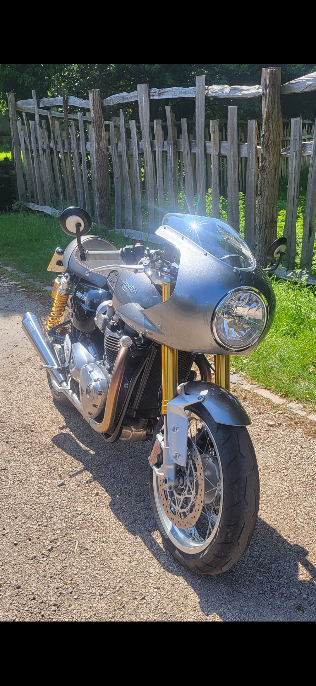  TRIUMPH THRUXTON | Picture 2825065 motorcycle photo