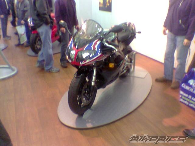 2005 TRIUMPH DAYTONA 955 | Picture 282515 motorcycle photo