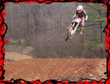 1995 HONDA CR 125 | Picture 282624 motorcycle photo