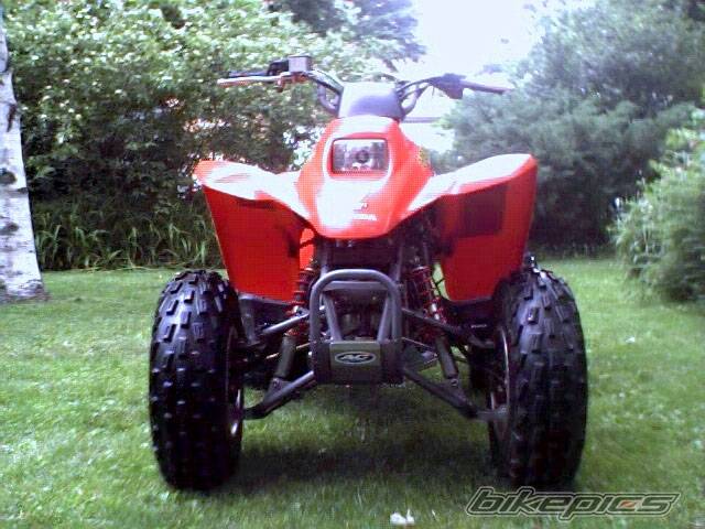 2001 HONDA 250EX | Picture 28275 motorcycle photo