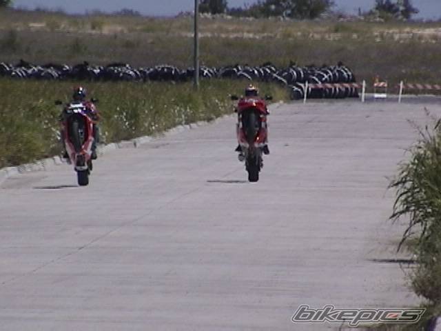 2002 SUZUKI GSX R 1000 | Picture 28276 motorcycle photo