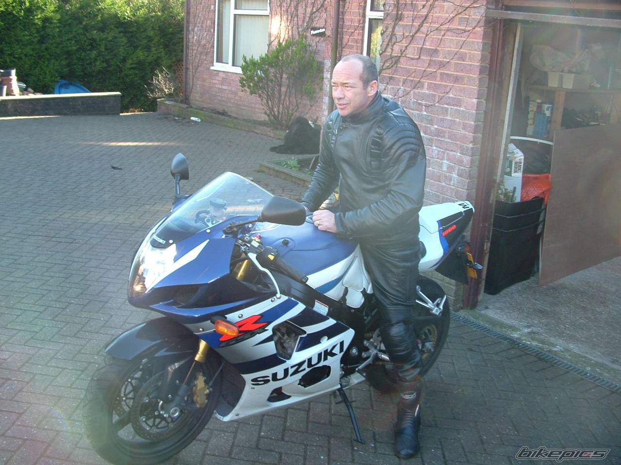 2004 SUZUKI GSX R 1000 | Picture 282904 motorcycle photo