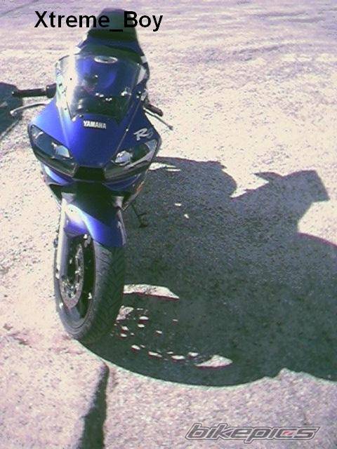 2002 YAMAHA YZF R6 | Picture 283157 motorcycle photo