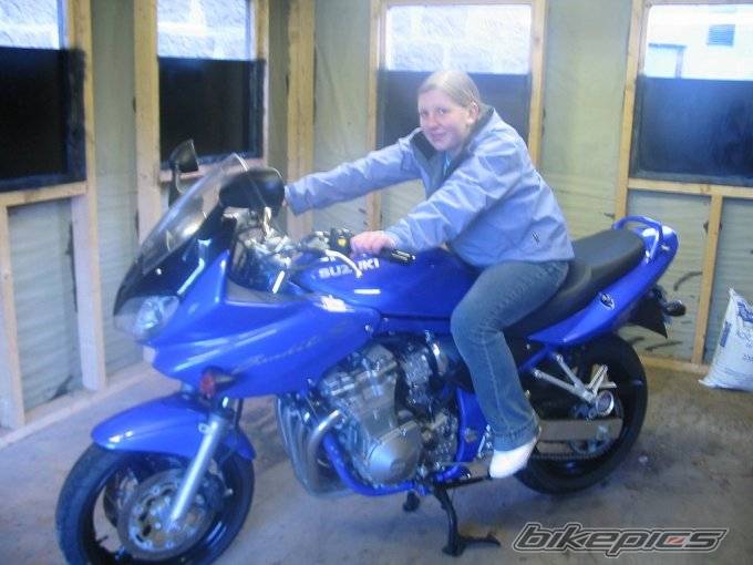 2004 SUZUKI BANDIT 600 | Picture 283704 motorcycle photo