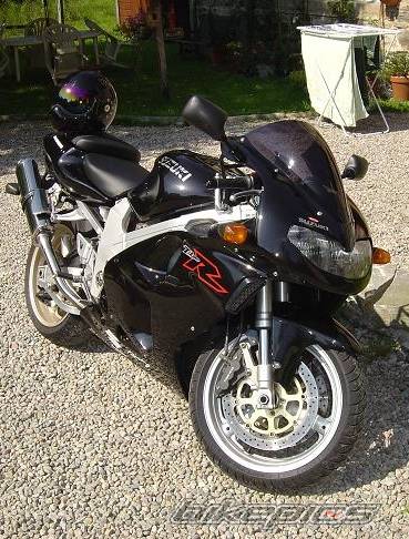 2002 SUZUKI TL1000R | Picture 283902 motorcycle photo