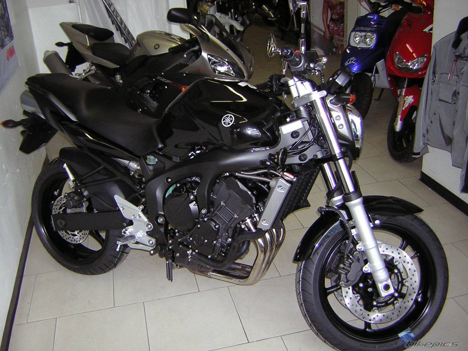 2005 YAMAHA FZ6 FAZER | Picture 284243 motorcycle photo