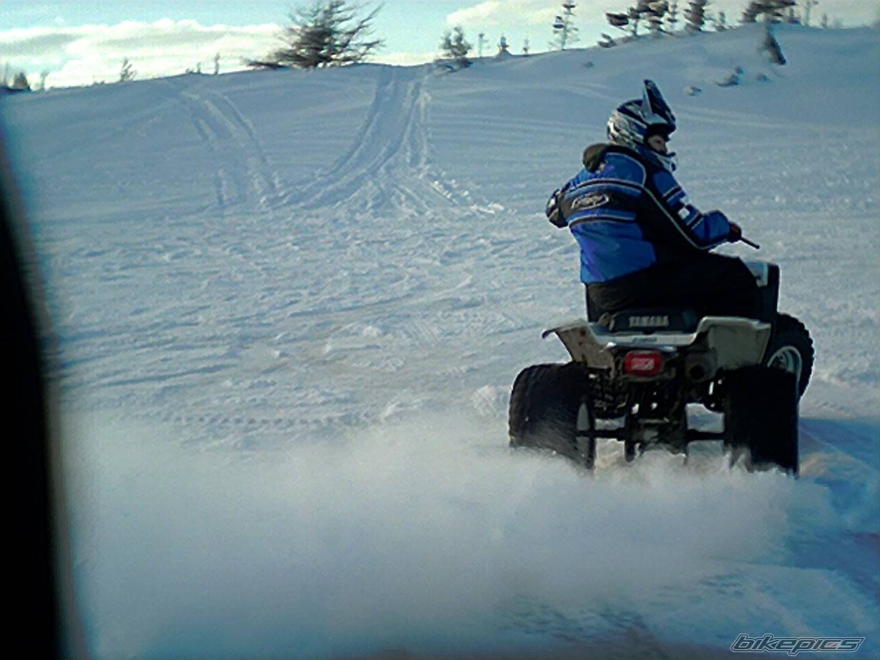 1999 YAMAHA WARRIOR | Picture 284330 motorcycle photo