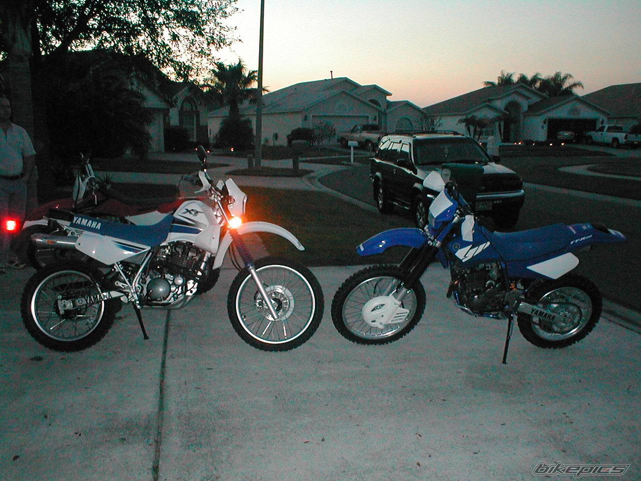 2004 YAMAHA TTR 250 | Picture 284464 motorcycle photo