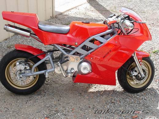 2004 CATEYE 49CC MIDI BIKE | Picture 285005 motorcycle photo