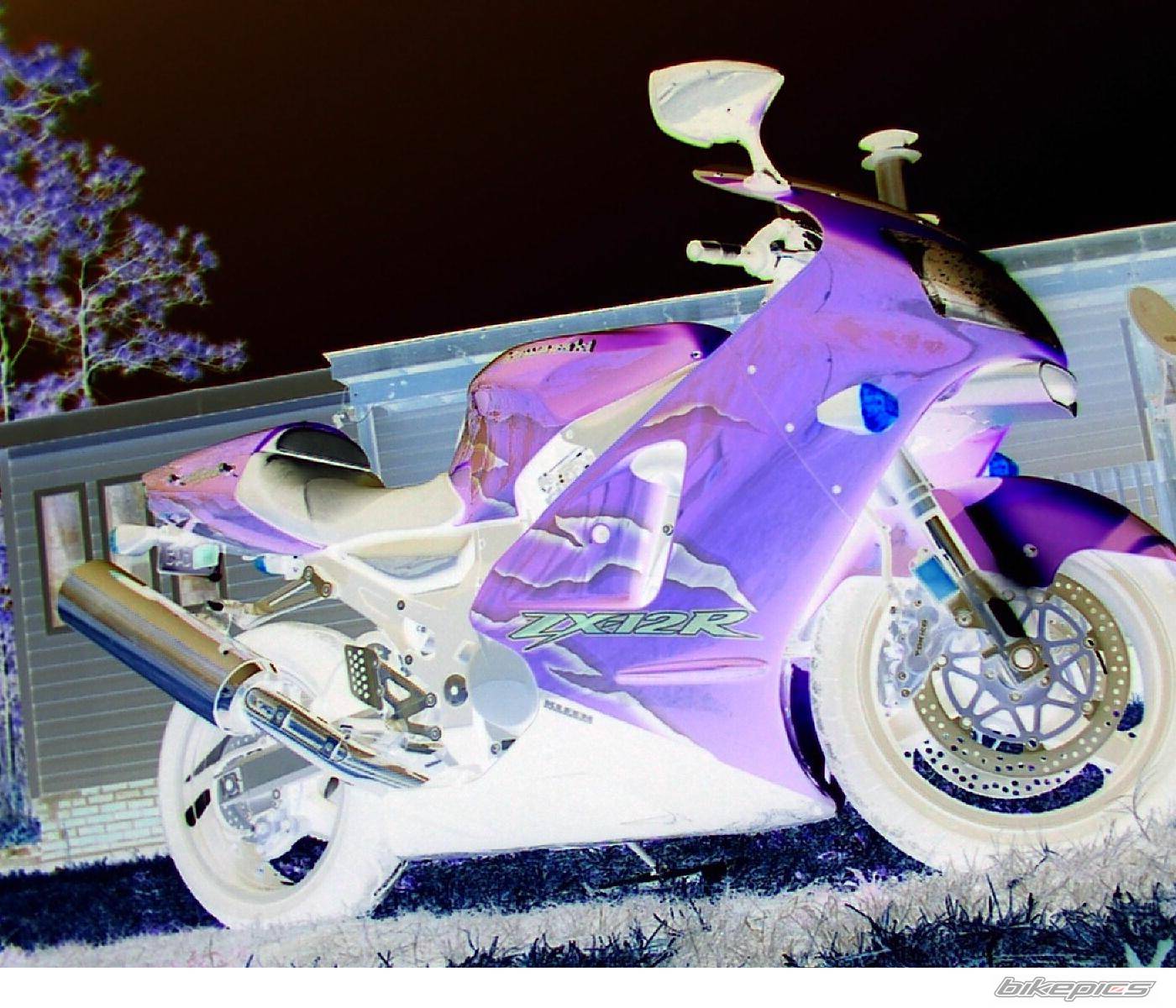 2001 KAWASAKI ZX 12R | Picture 28506 motorcycle photo
