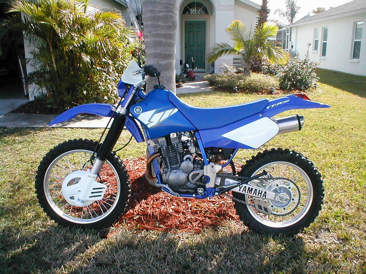 2004 YAMAHA TTR 250 | Picture 285522 motorcycle photo