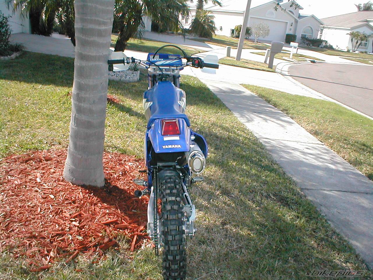 2004 YAMAHA TTR 250 | Picture 285524 motorcycle photo