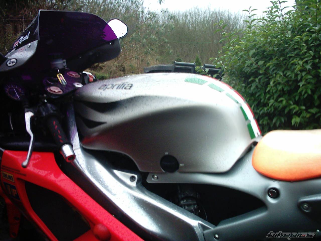 1998 APRILIA RS 125 | Picture 285669 motorcycle photo