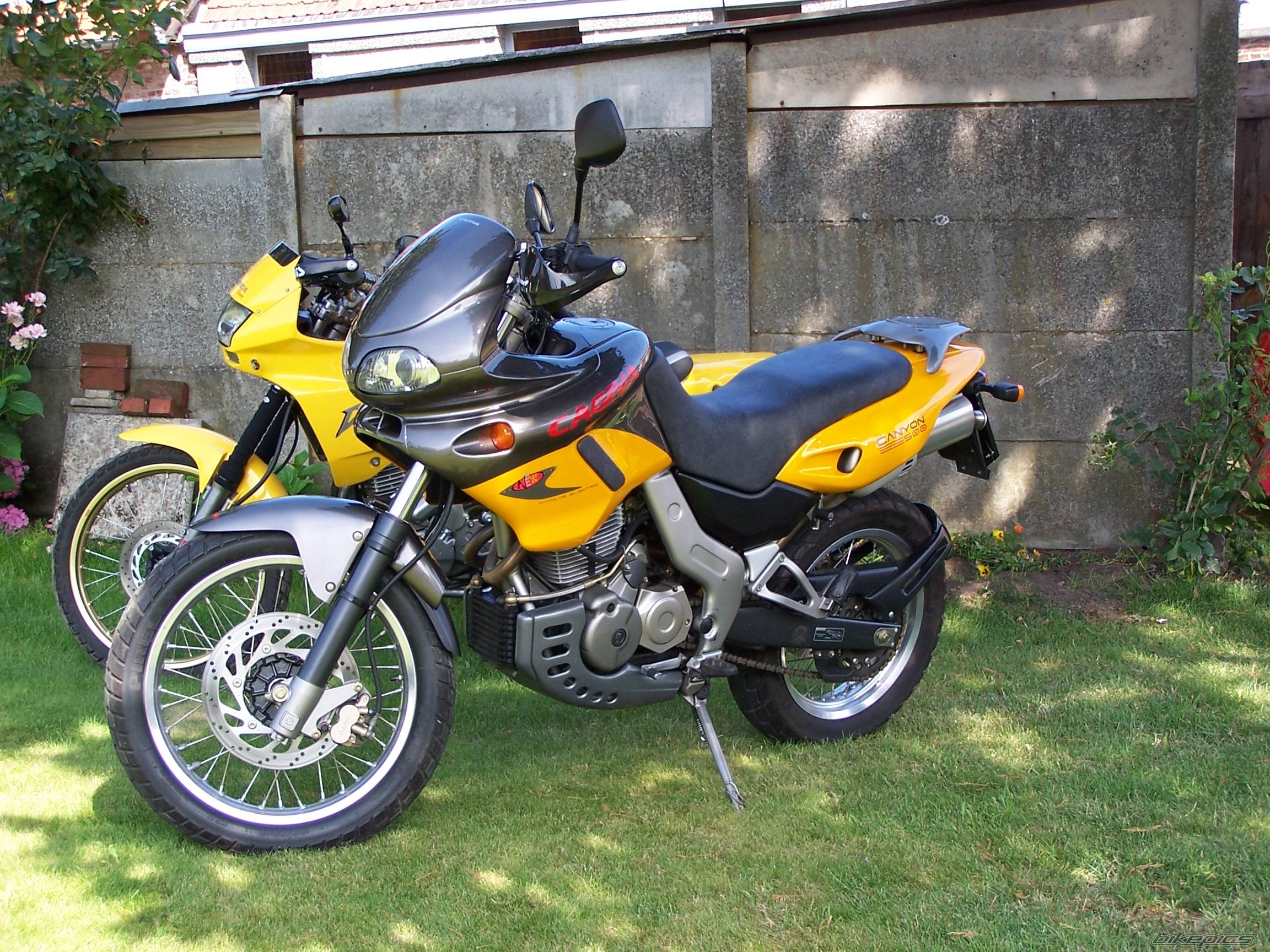 2003 CAGIVA CANYON 500 | Picture 285793 motorcycle photo