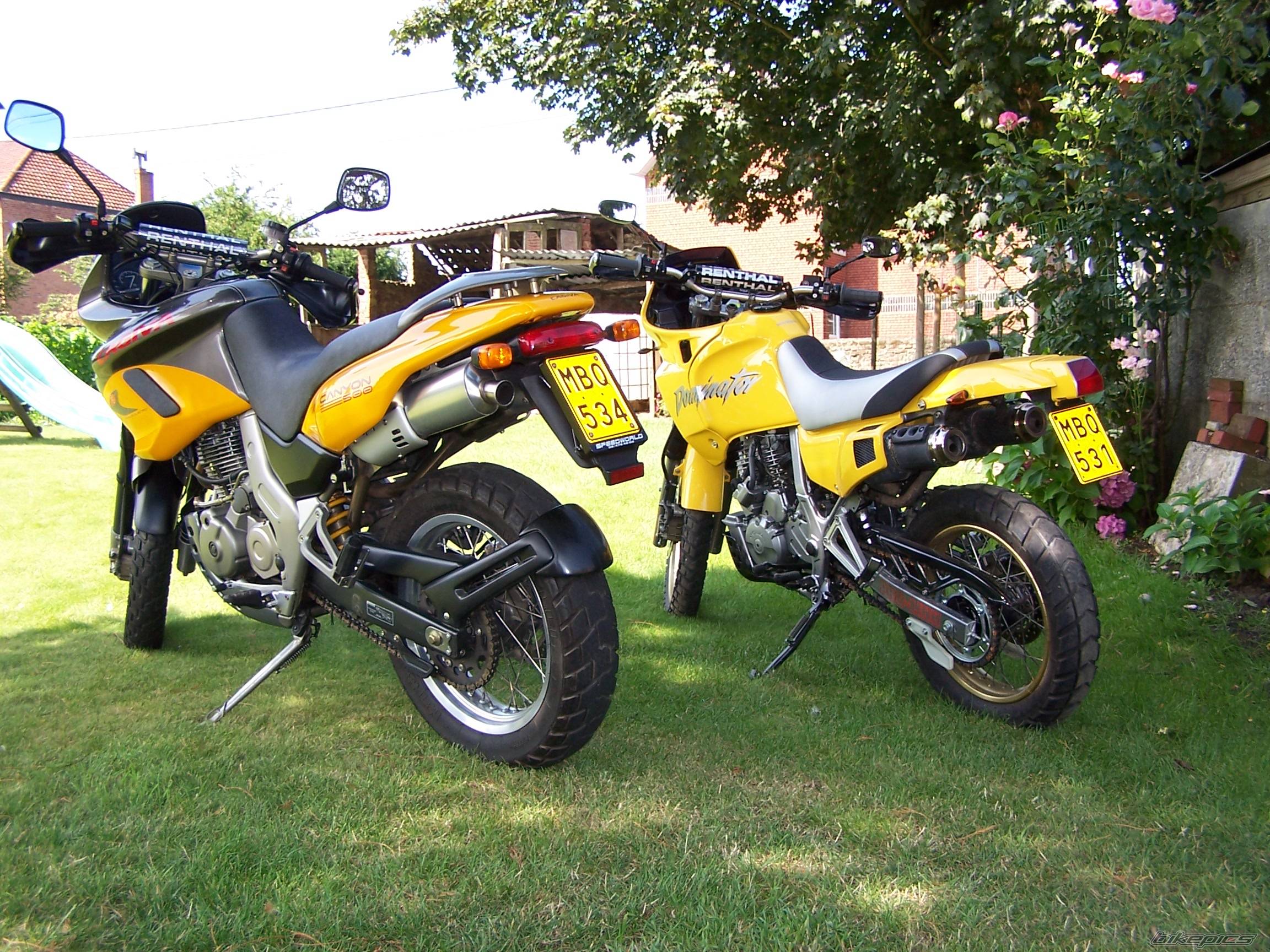 2003 CAGIVA CANYON 500 | Picture 285796 motorcycle photo