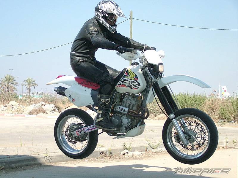 1998 HONDA XR 400 | Picture 285924 motorcycle photo