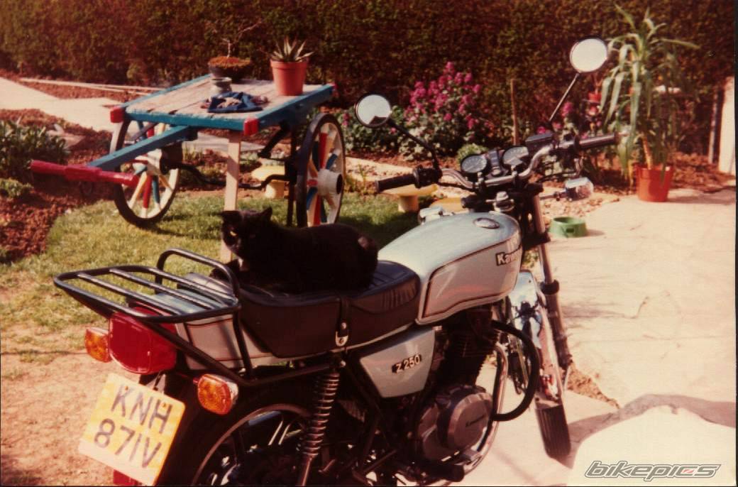 1979 KAWASAKI Z 250 | Picture 285925 motorcycle photo
