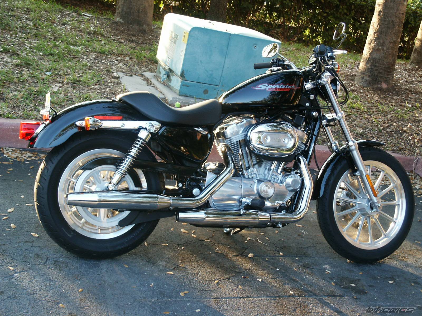 2005 HARLEY DAVIDSON XL 883C | Picture 286040 motorcycle photo