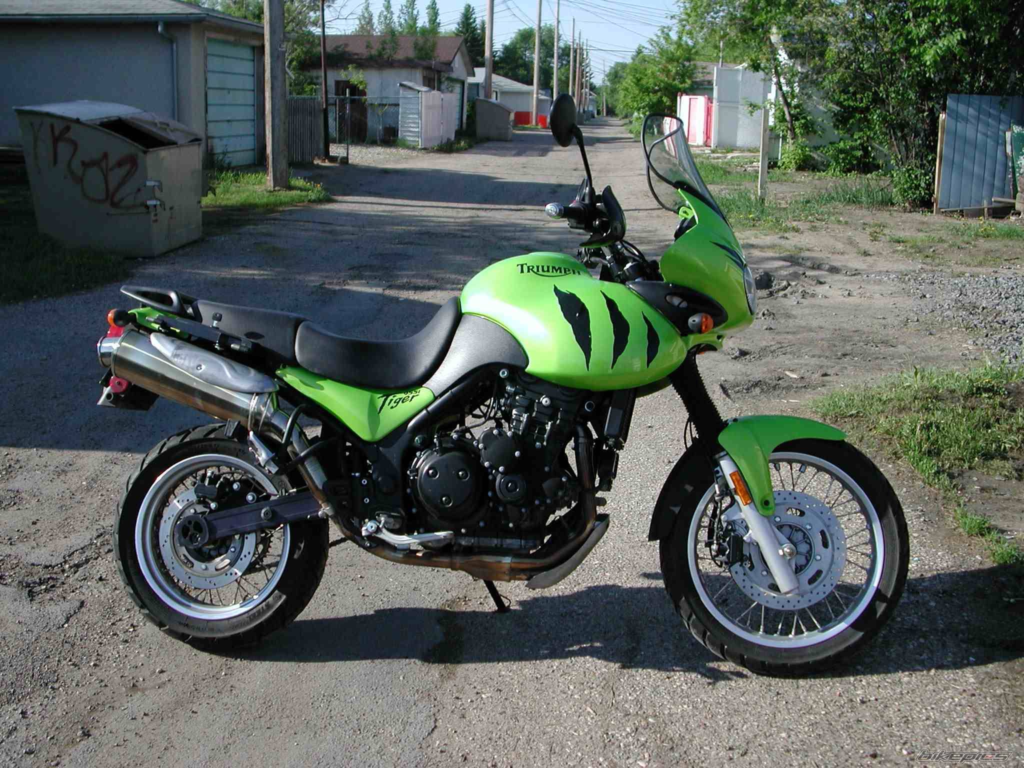 2001 TRIUMPH TIGER | Picture 28653 motorcycle photo