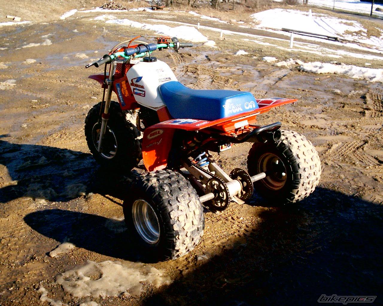 1985 HONDA ATC 350 | Picture 286530 motorcycle photo