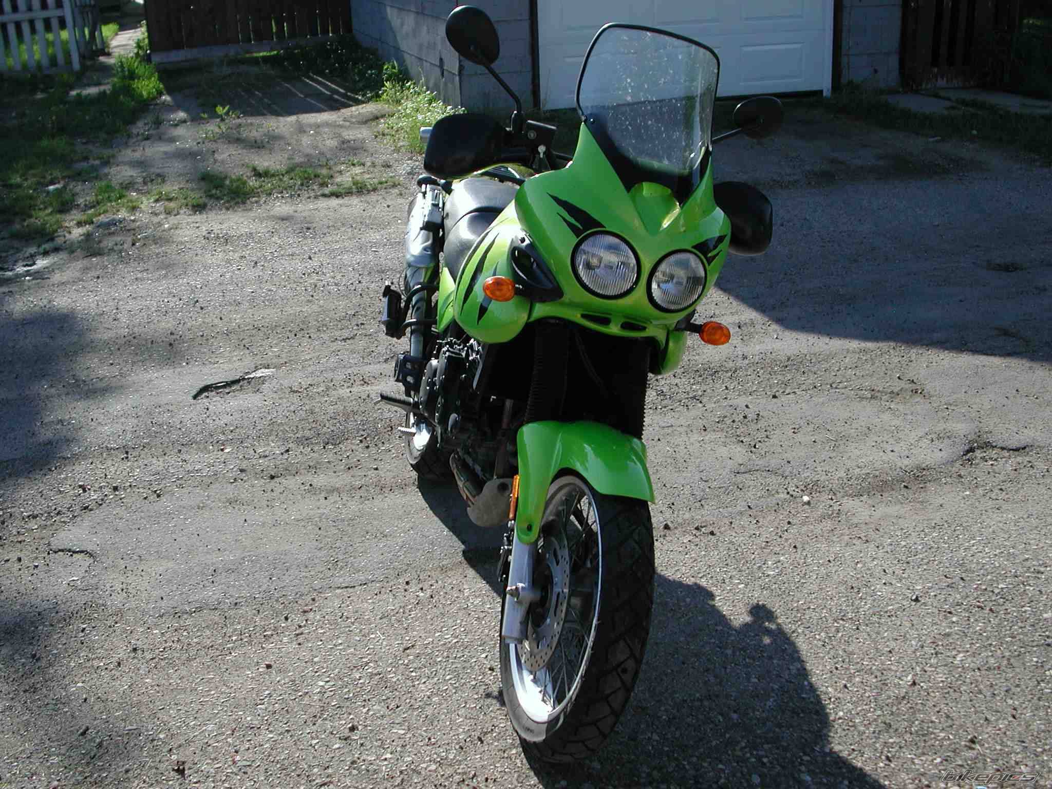 2001 TRIUMPH TIGER | Picture 28655 motorcycle photo