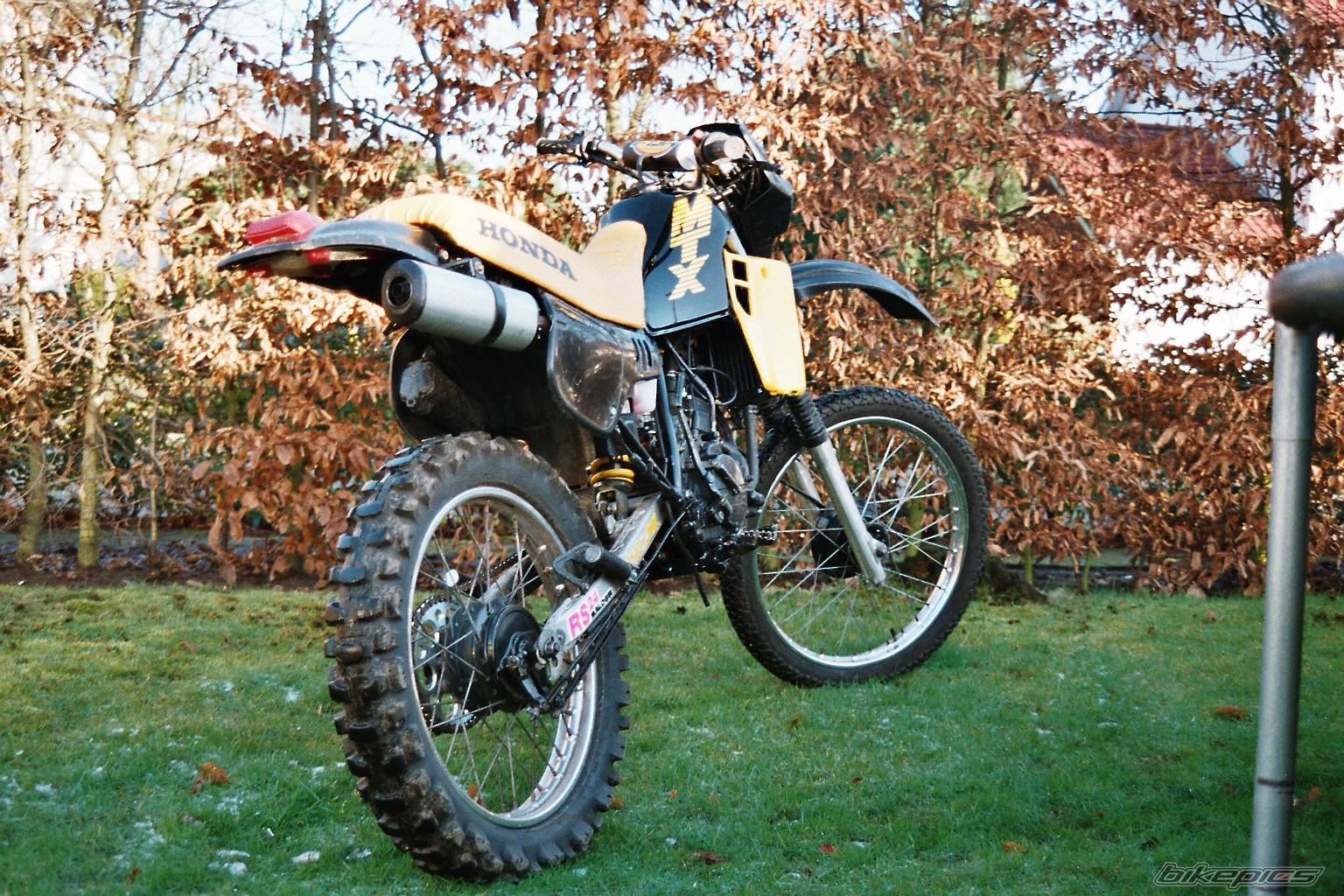2005 HONDA MT 50 | Picture 286868 motorcycle photo