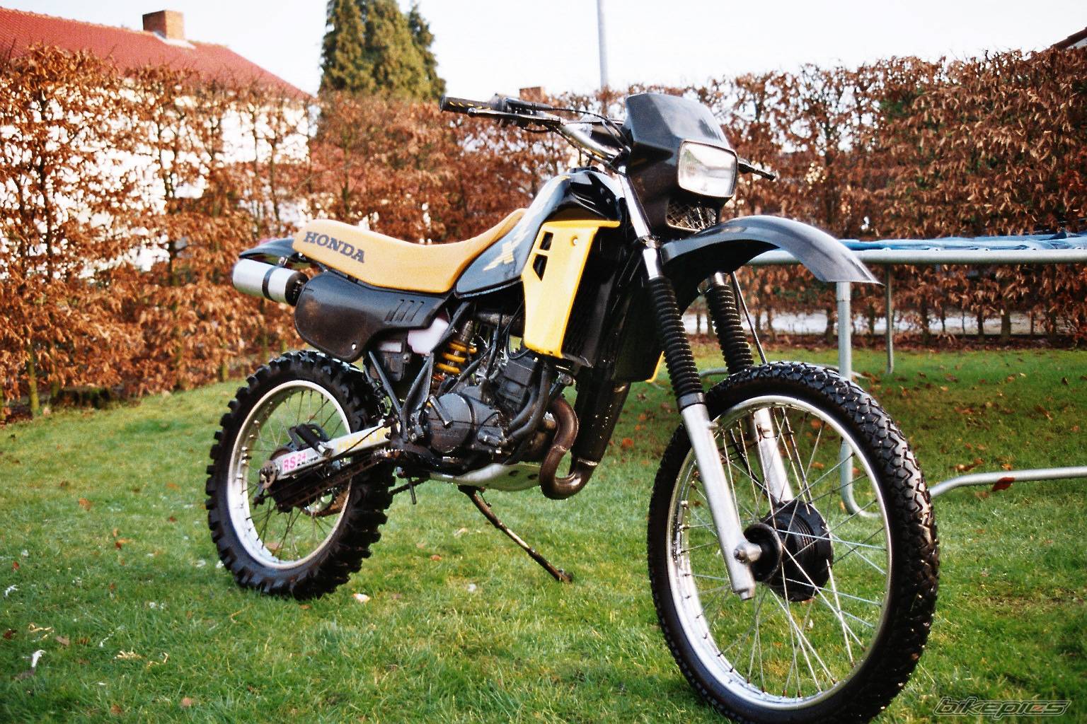 2005 HONDA MT 50 | Picture 286870 motorcycle photo