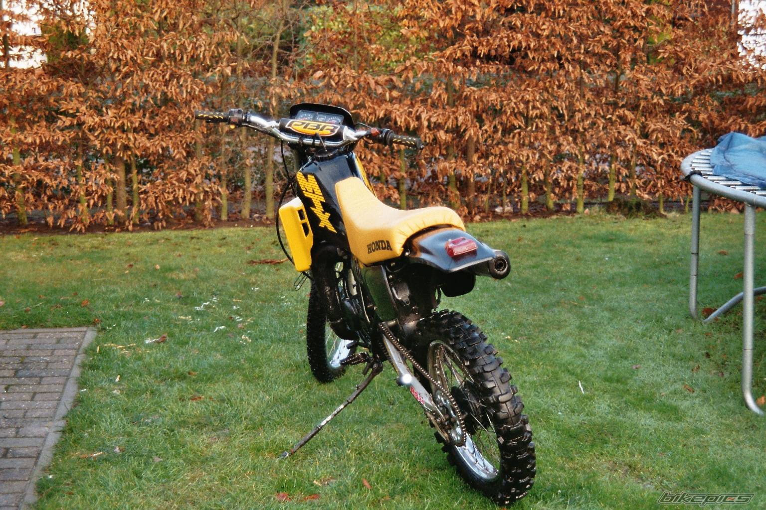 2005 HONDA MT 50 | Picture 286874 motorcycle photo