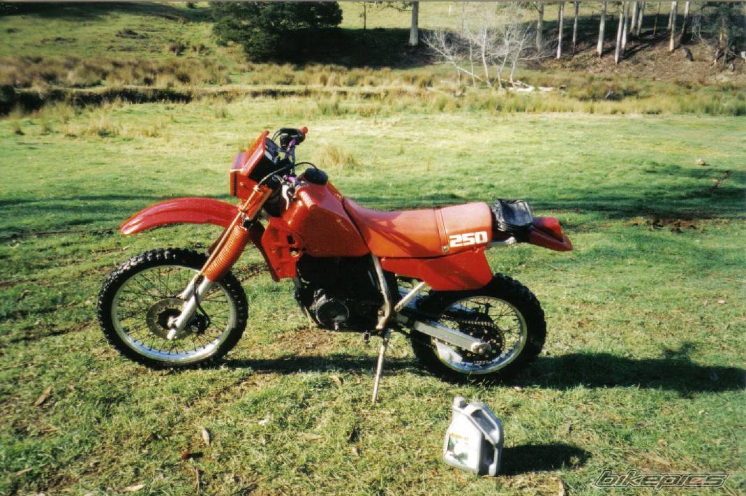 1990 KAWASAKI KLR 250 | Picture 286897 motorcycle photo