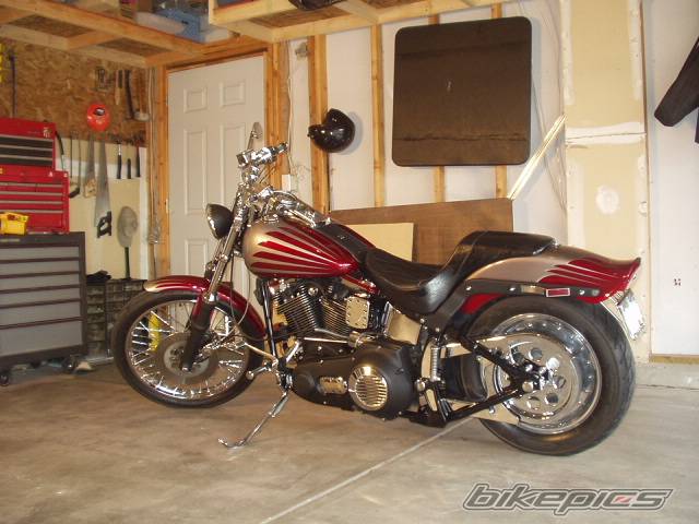 1986 HARLEY DAVIDSON FXSTC | Picture 287294 motorcycle photo