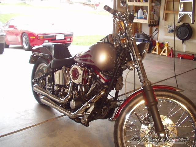 1986 HARLEY DAVIDSON FXSTC | Picture 287295 motorcycle photo