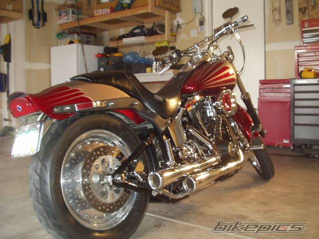 1986 HARLEY DAVIDSON FXSTC | Picture 287297 motorcycle photo