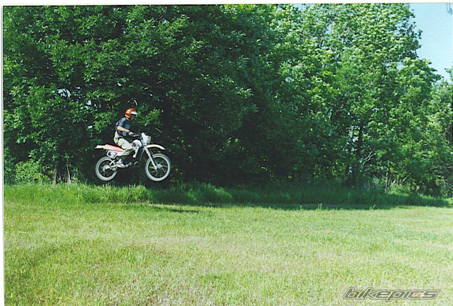 1983 YAMAHA DT 125 | Picture 287319 motorcycle photo