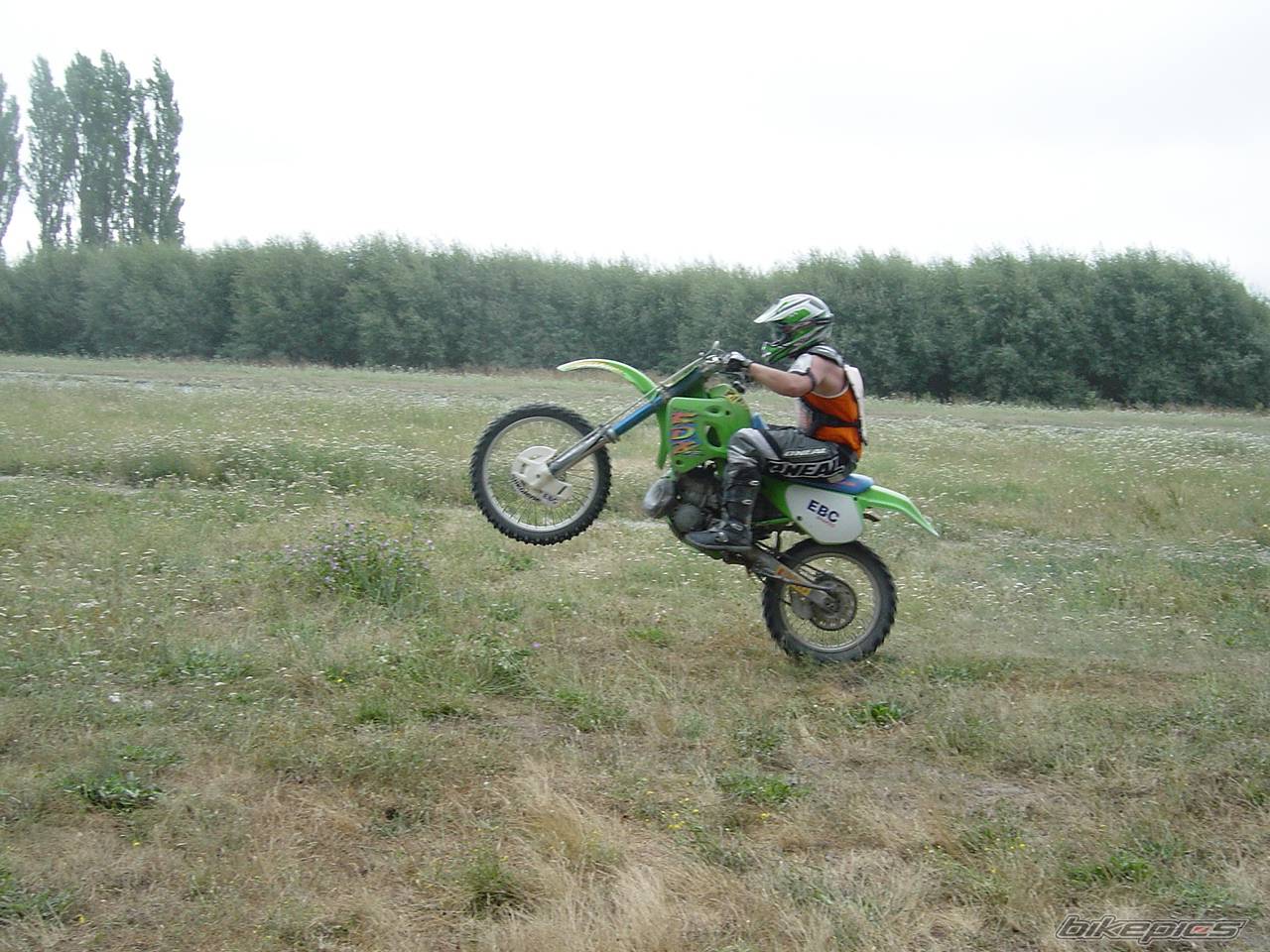 1994 KAWASAKI KDX 250 | Picture 287860 motorcycle photo