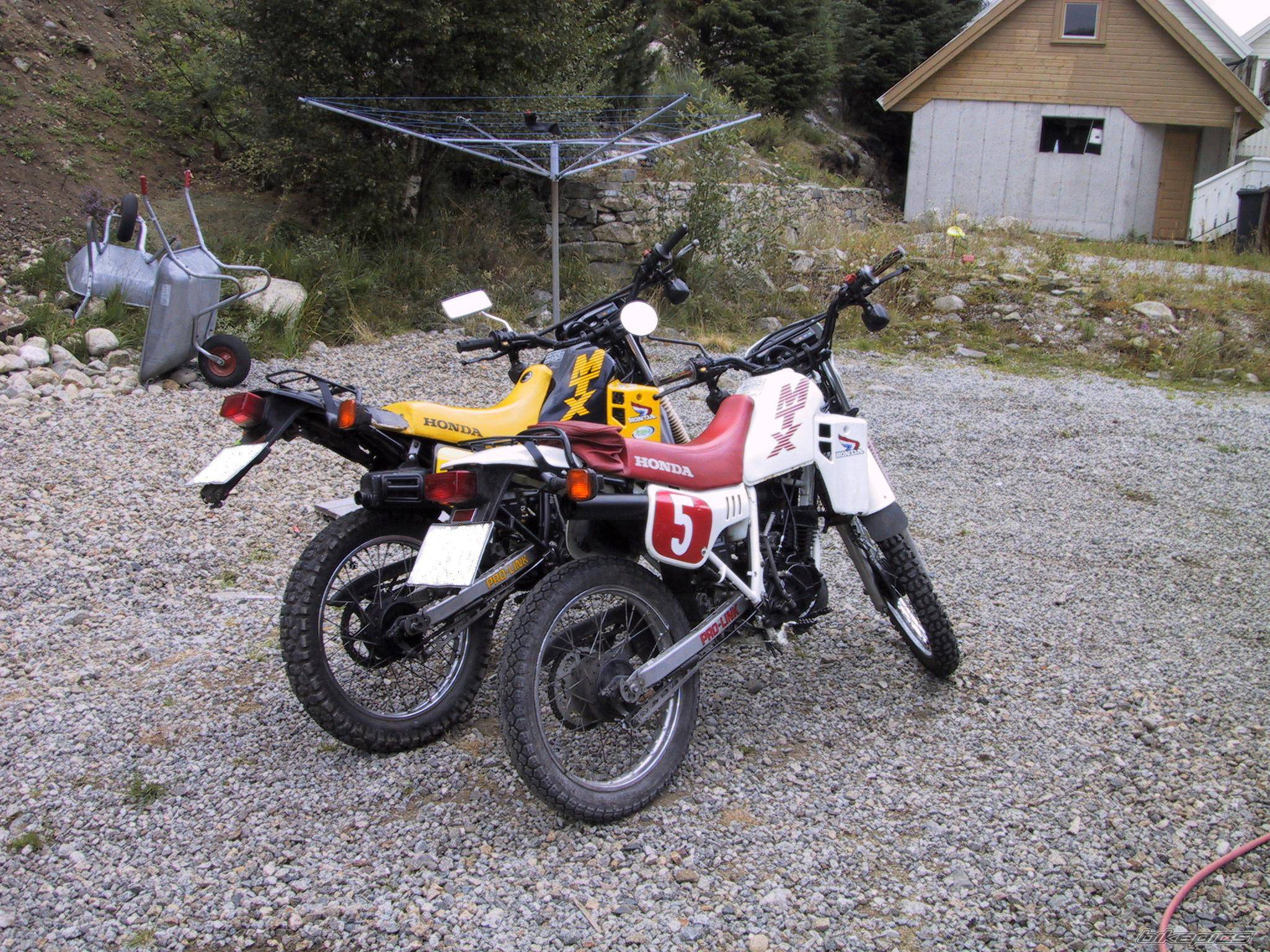1991 HONDA MTX 50 | Picture 288081 motorcycle photo
