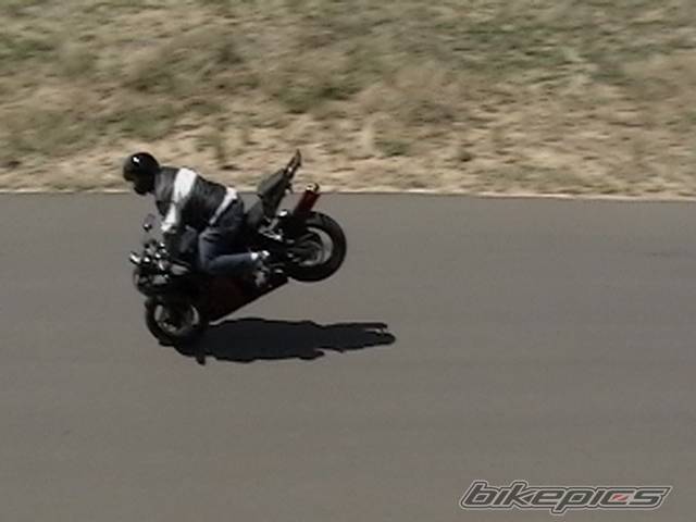 2001 YAMAHA YZF R6 | Picture 288112 motorcycle photo