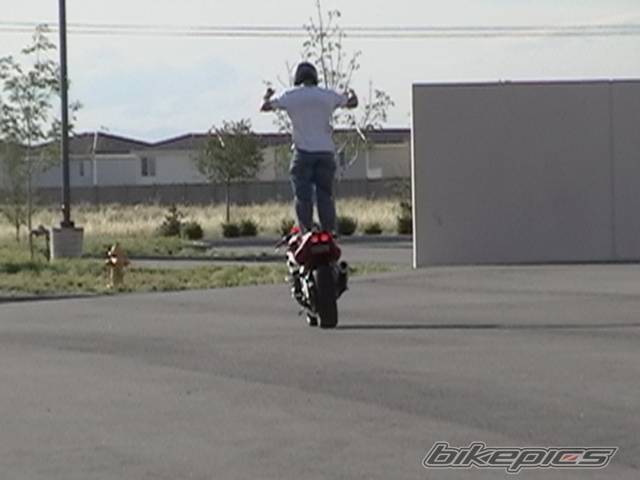 2001 YAMAHA YZF R6 | Picture 288126 motorcycle photo
