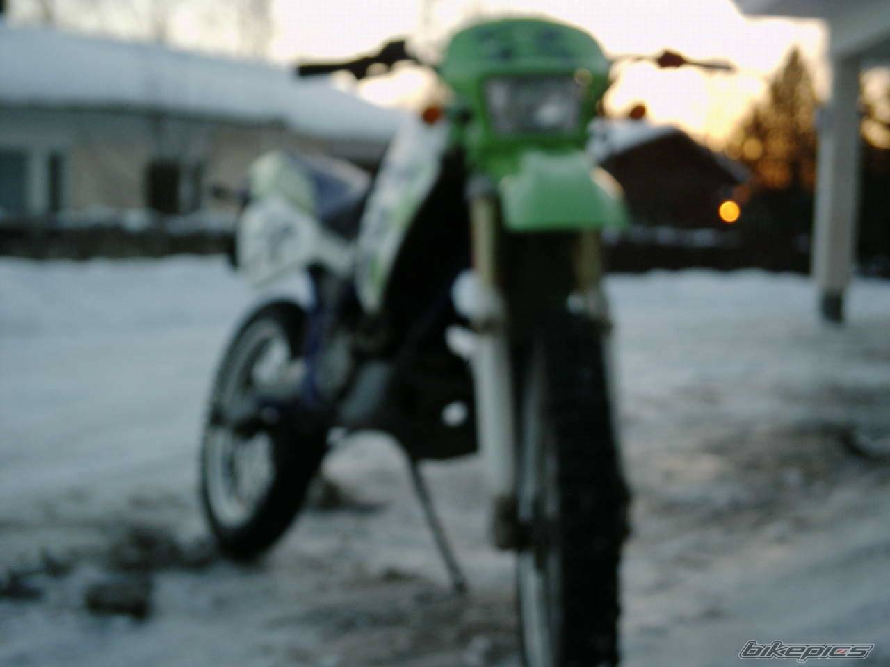 1998 DERBI SENDA R 50 | Picture 288130 motorcycle photo