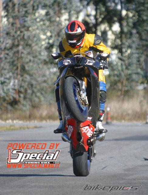 2005 APRILIA RSV MILLE FACTORY | Picture 288187 motorcycle photo